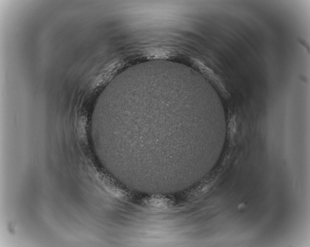 X0000102030209200807251358