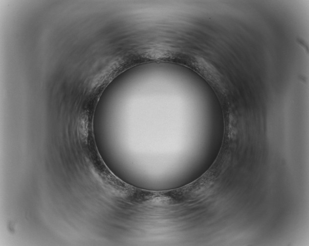 X0000102030210200807251358