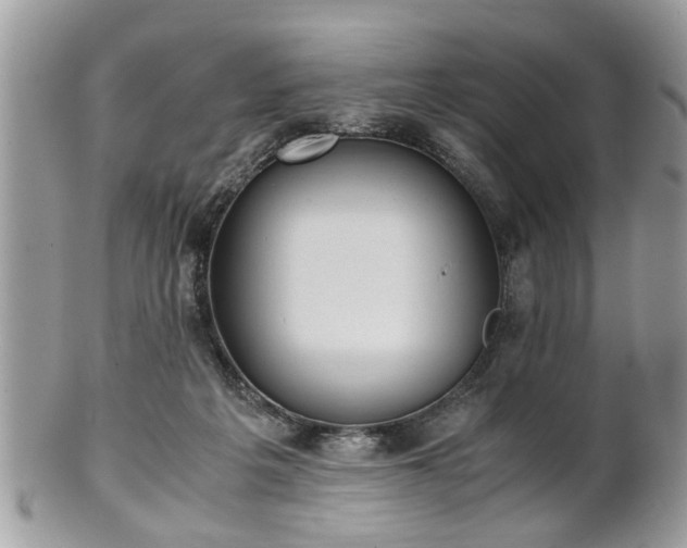 X0000102030217200807251358