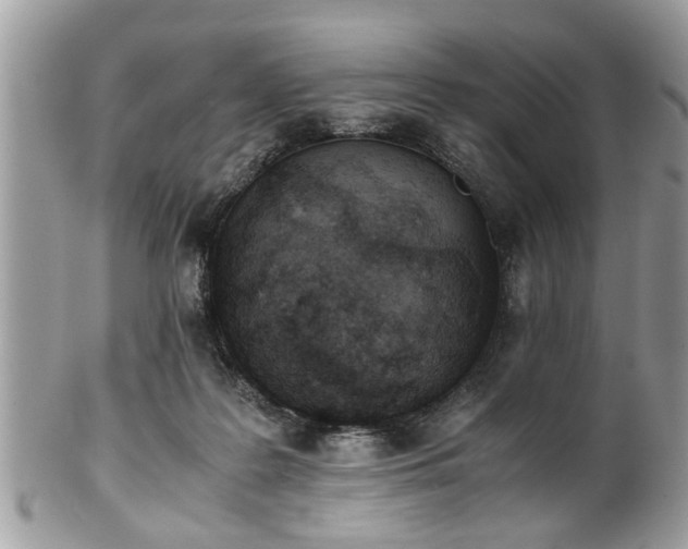 X0000102030219200807251358