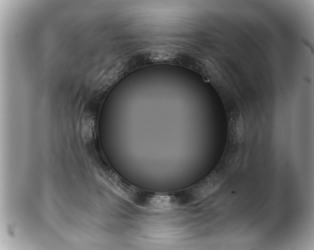 X0000102030227200807251358