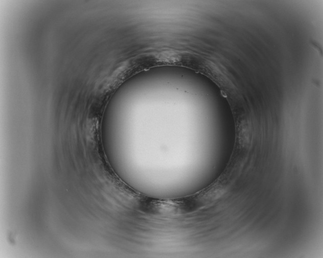 X0000102030229200807251358