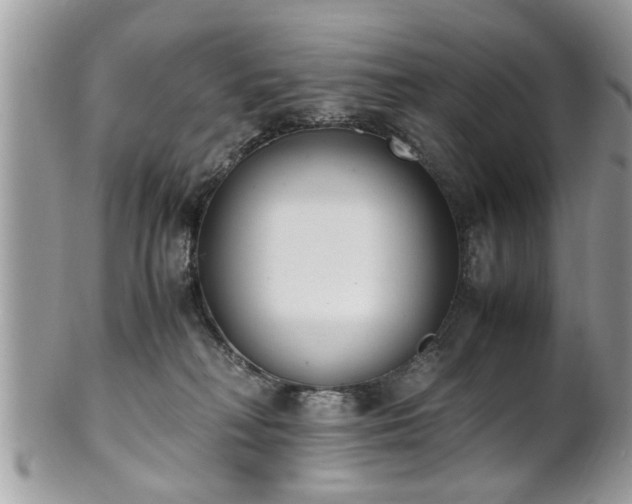 X0000102030230200807251358