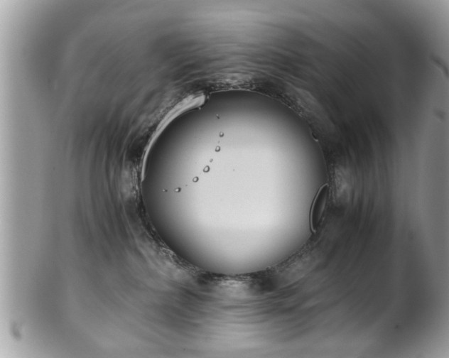 X0000102030236200807251358