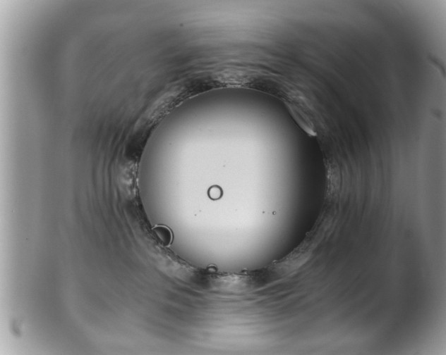 X0000102030237200807251358