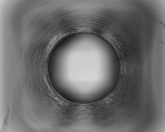 X0000102030241200807251357