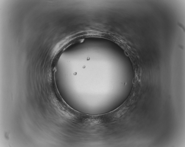 X0000102030247200807251357