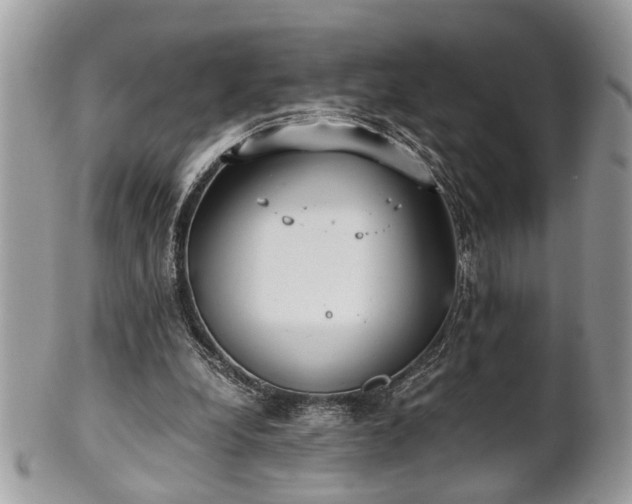 X0000102030248200807251357