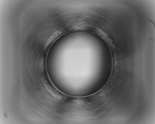 X0000102030250200807251357