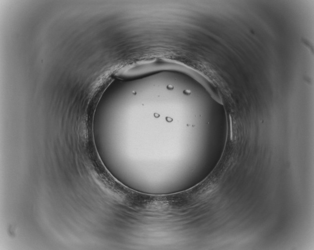 X0000102030252200807251357