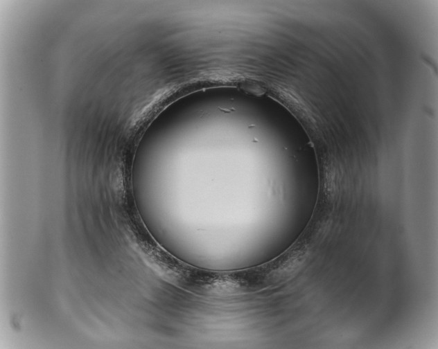 X0000102030256200807251357