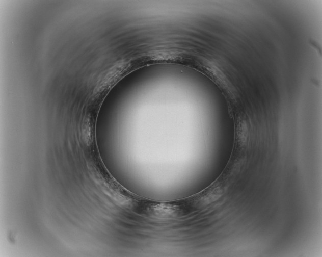 X0000102030261200807251358