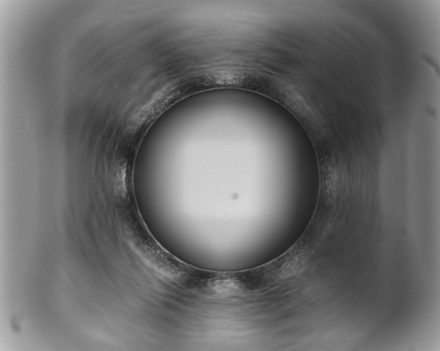 X0000102030262200807251358