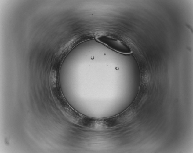 X0000102030264200807251358