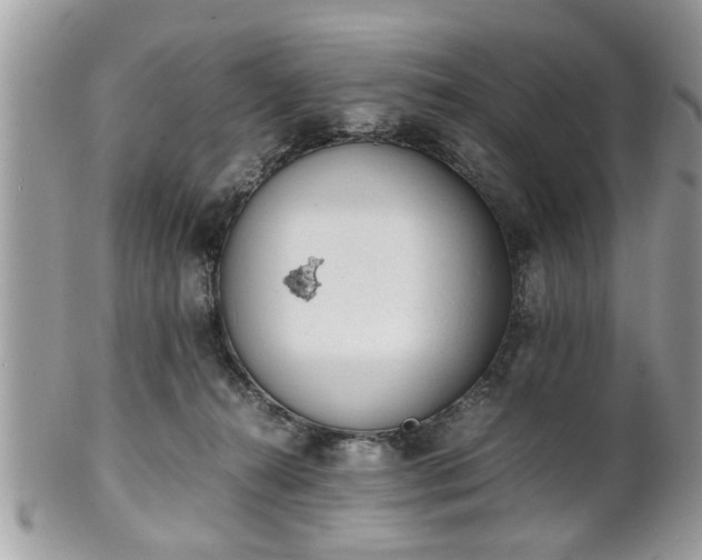 X0000102030272200807251358