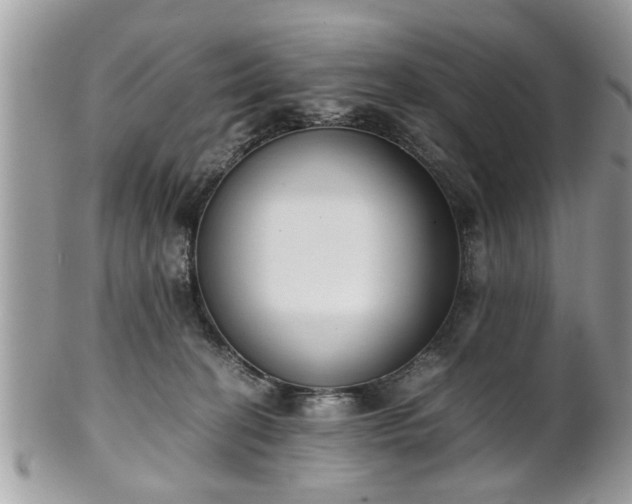 X0000102030274200807251358