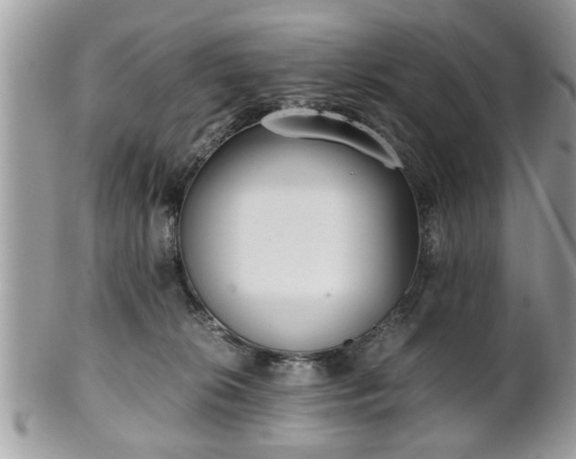 X0000102030276200807251358