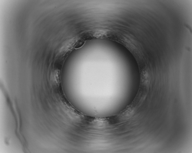 X0000102030280200807251358