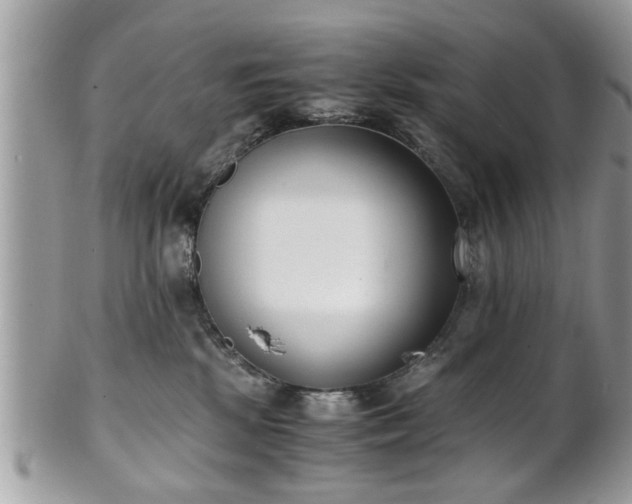 X0000102030281200807251358