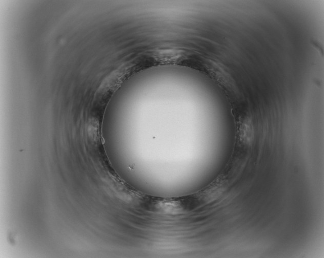 X0000102030283200807251358