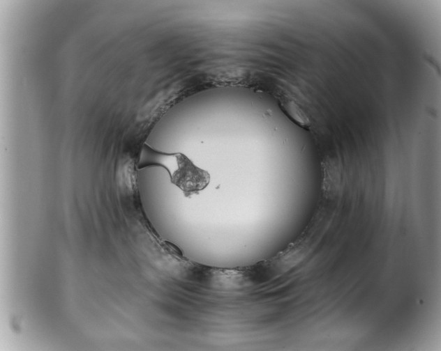 X0000102030287200807251358