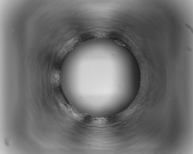 X0000102030288200807251358