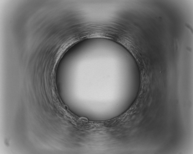 X0000102030289200807251357