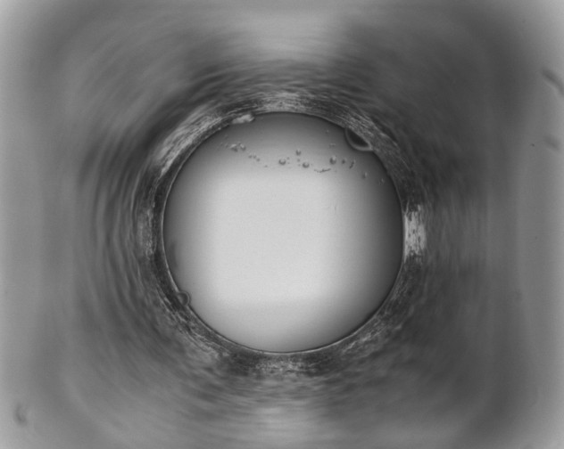 X0000102030291200807251357