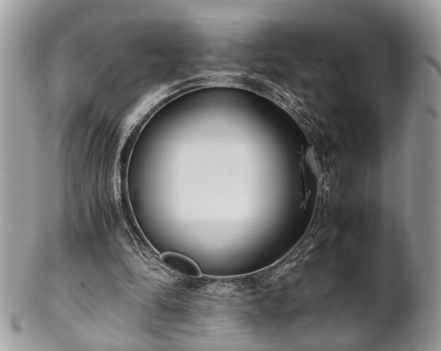 X0000102030294200807251357