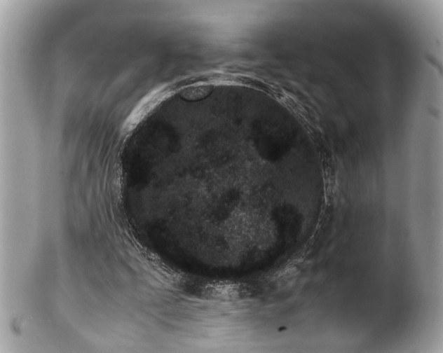 X0000102030295200807251357