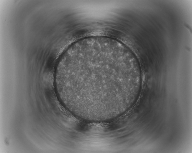 X0000102030297200807251357