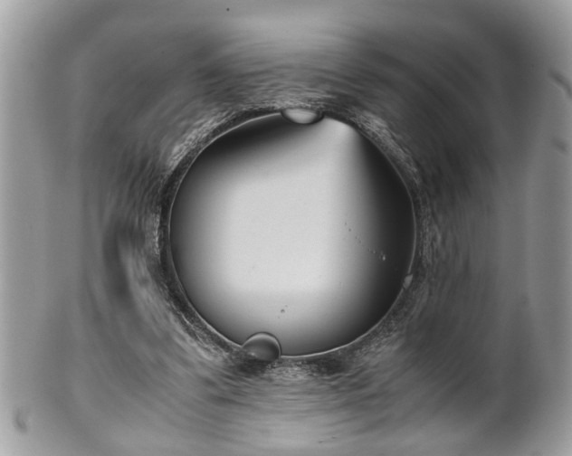 X0000102030299200807251357