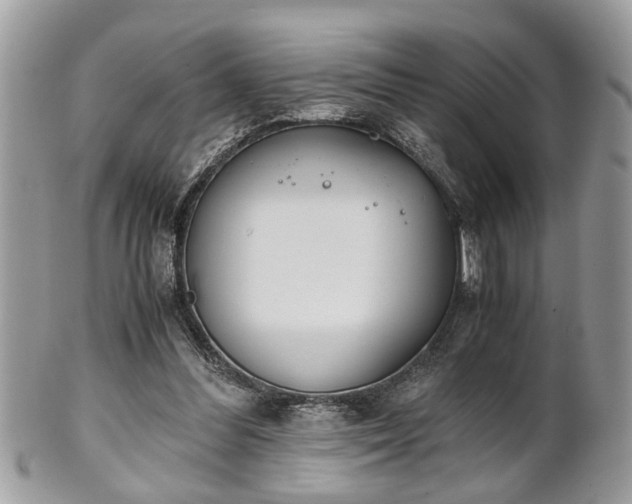 X0000102030300200807251357