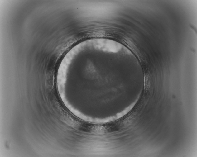 X0000102030301200807251357