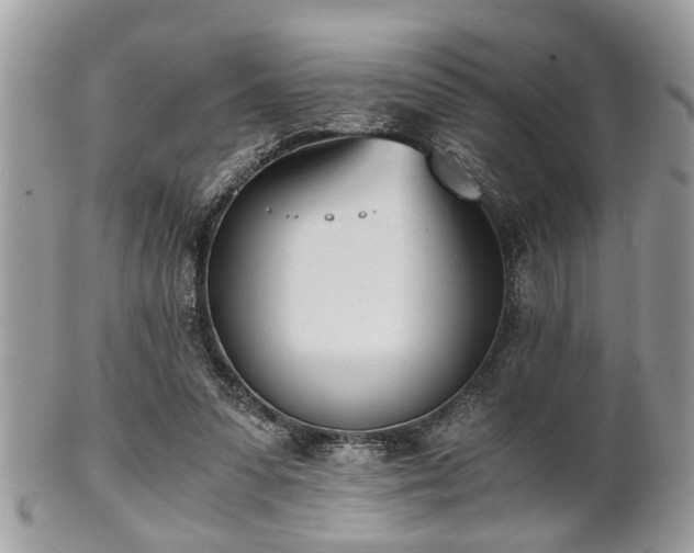 X0000102030303200807251357