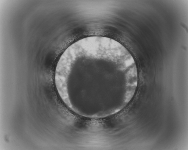 X0000102030305200807251357