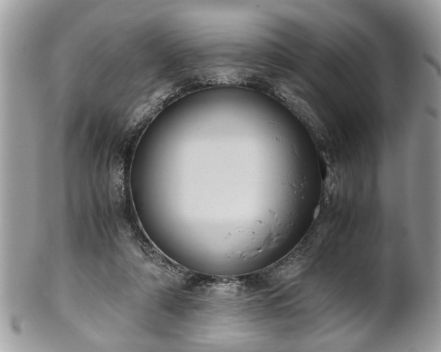 X0000102030306200807251357