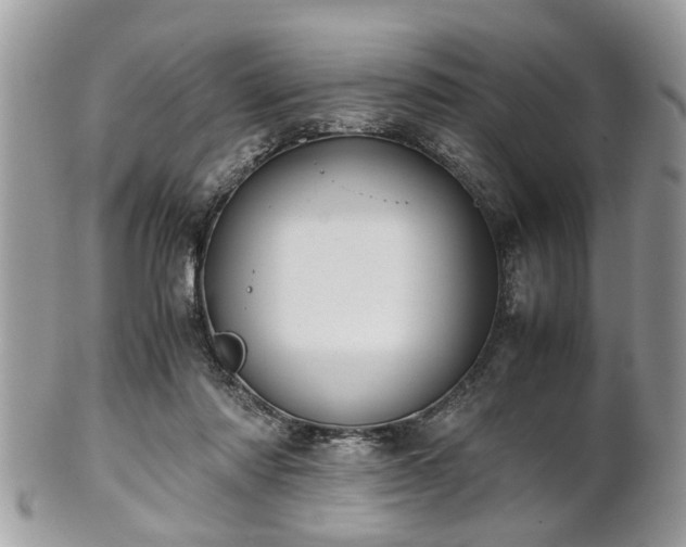 X0000102030310200807251357