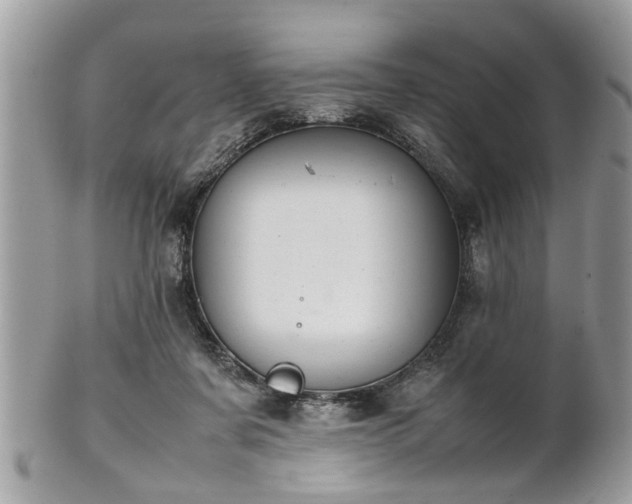 X0000102030311200807251357