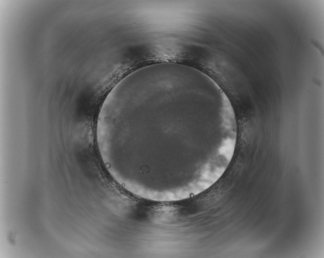 X0000102030313200807251357