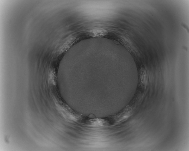 X0000102030316200807251357