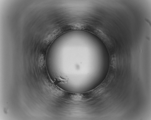 X0000102030318200807251357