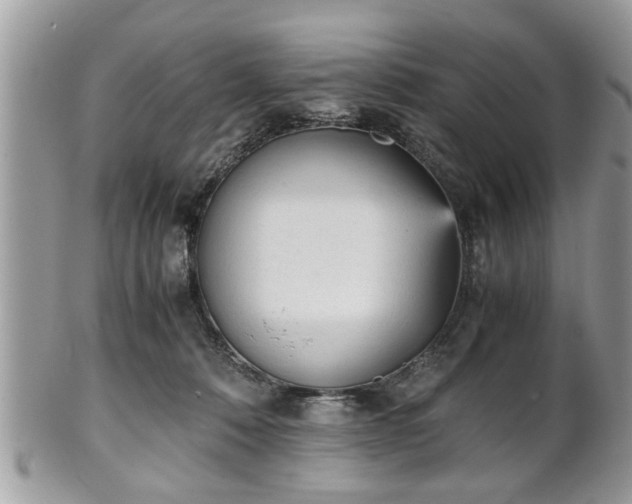 X0000102030320200807251357