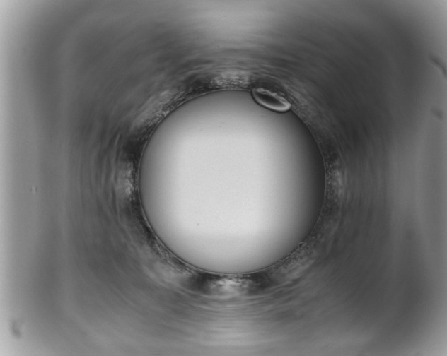 X0000102030323200807251357