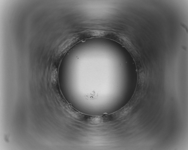 X0000102030325200807251357