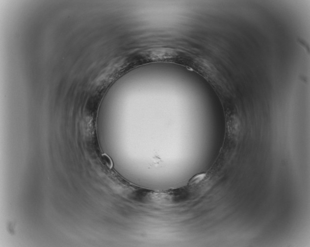 X0000102030327200807251357