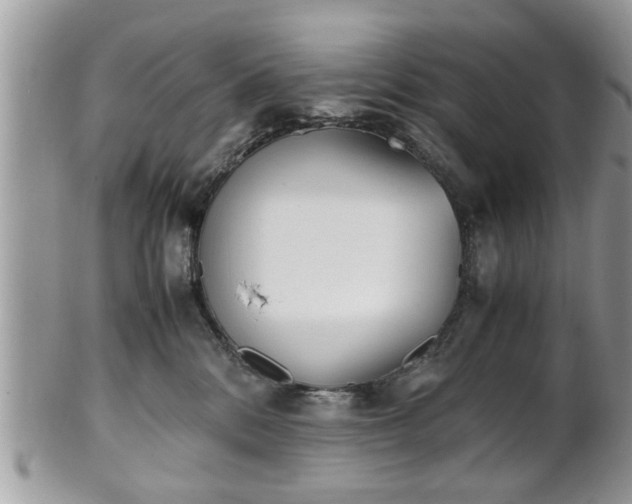 X0000102030328200807251357