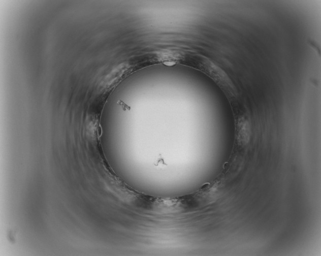 X0000102030329200807251357