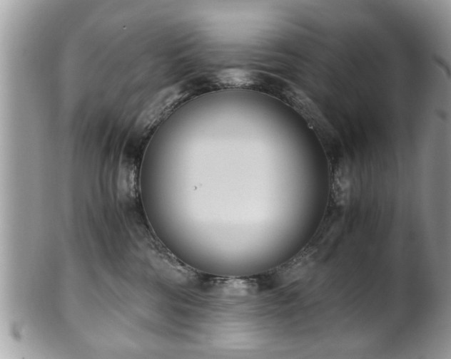 X0000102030330200807251357