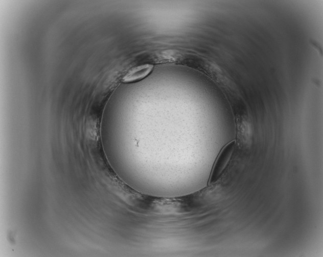 X0000102030331200807251357